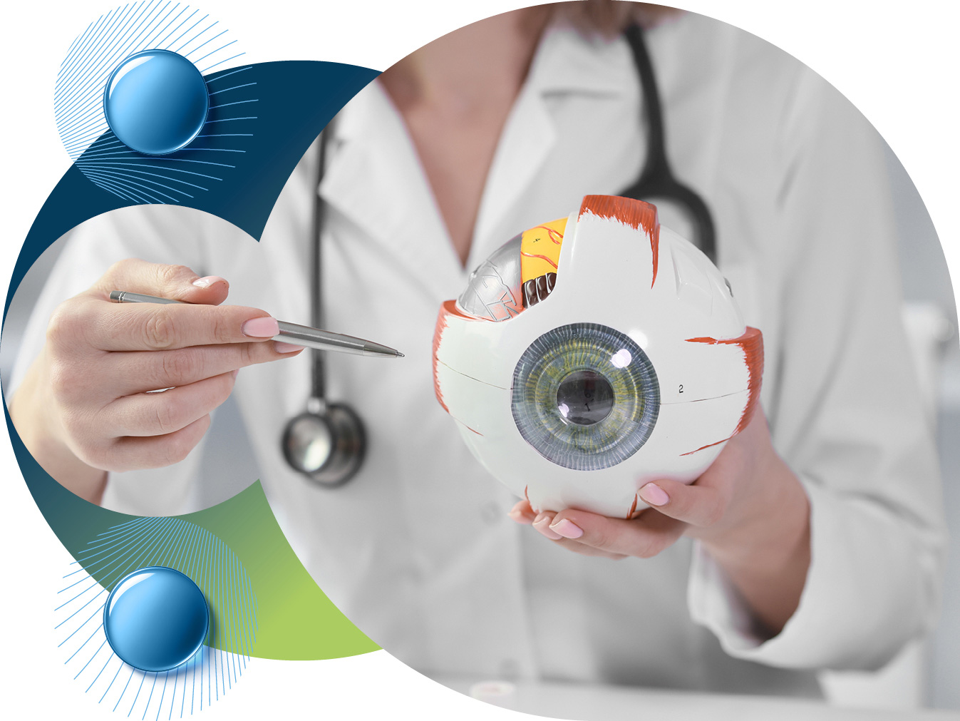 При планировании операции по удалению катаракты в сети клиник "СТОЛИЦА" - консультация офтальмолога БЕСПЛАТНО