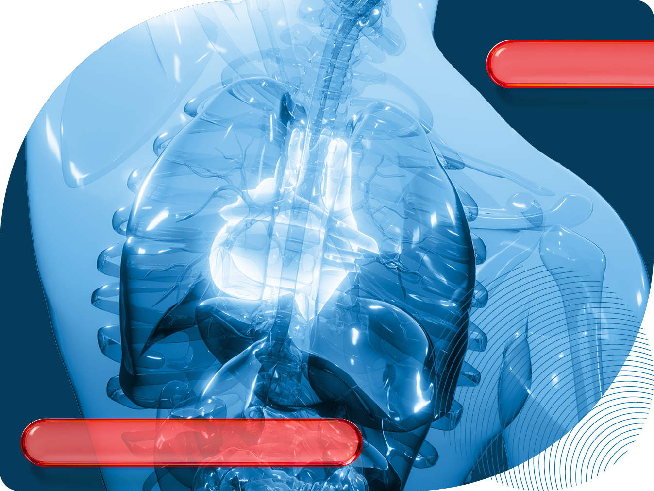 СПЕЦЦЕНА 3900 руб. на КТ органов грудной клетки