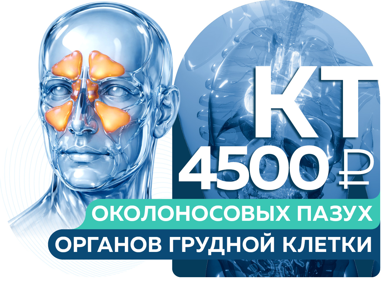 СПЕЦЦЕНА 4500 руб. на КТ органов грудной клетки и КТ/КЛКТ околоносовых пазух