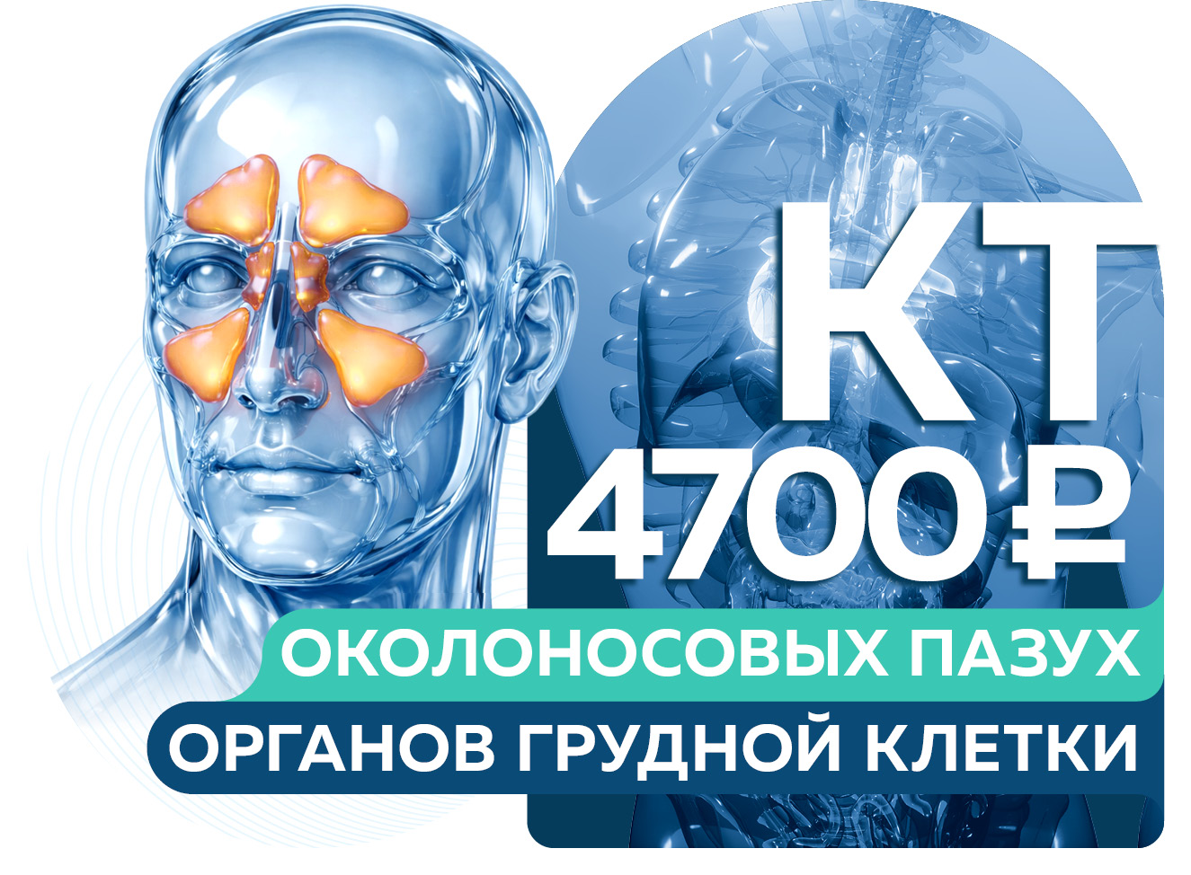 СПЕЦЦЕНА 4700 руб. на КТ органов грудной клетки и КТ/КЛКТ околоносовых пазух