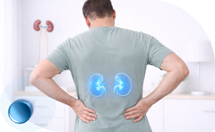 Лечение хронической почечной недостаточности в Москве в клинике Столица