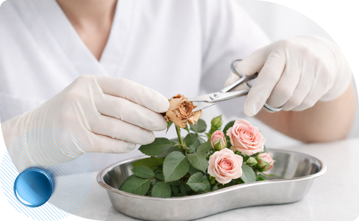 Программа медицинского обследования «Онконастороженность» в Москве в клинике Столица Программа медицинского обследования «Онконастороженность» в Москве в клинике Столица