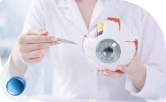 Периферическая лазерная коагуляция при витреоретинальных дистрофиях без отслойки сетчатки в Москве в клинике Столица Периферическая лазерная коагуляция при витреоретинальных дистрофиях без отслойки сетчатки в Москве в клинике Столица