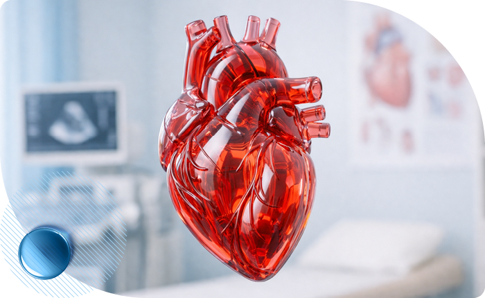 Программа медицинского обследования «Кардиоконтроль» в Москве в клинике Столица